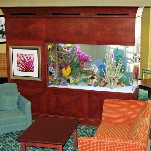 This Is A Picture Of A Custom 400 Gallon Saltwater