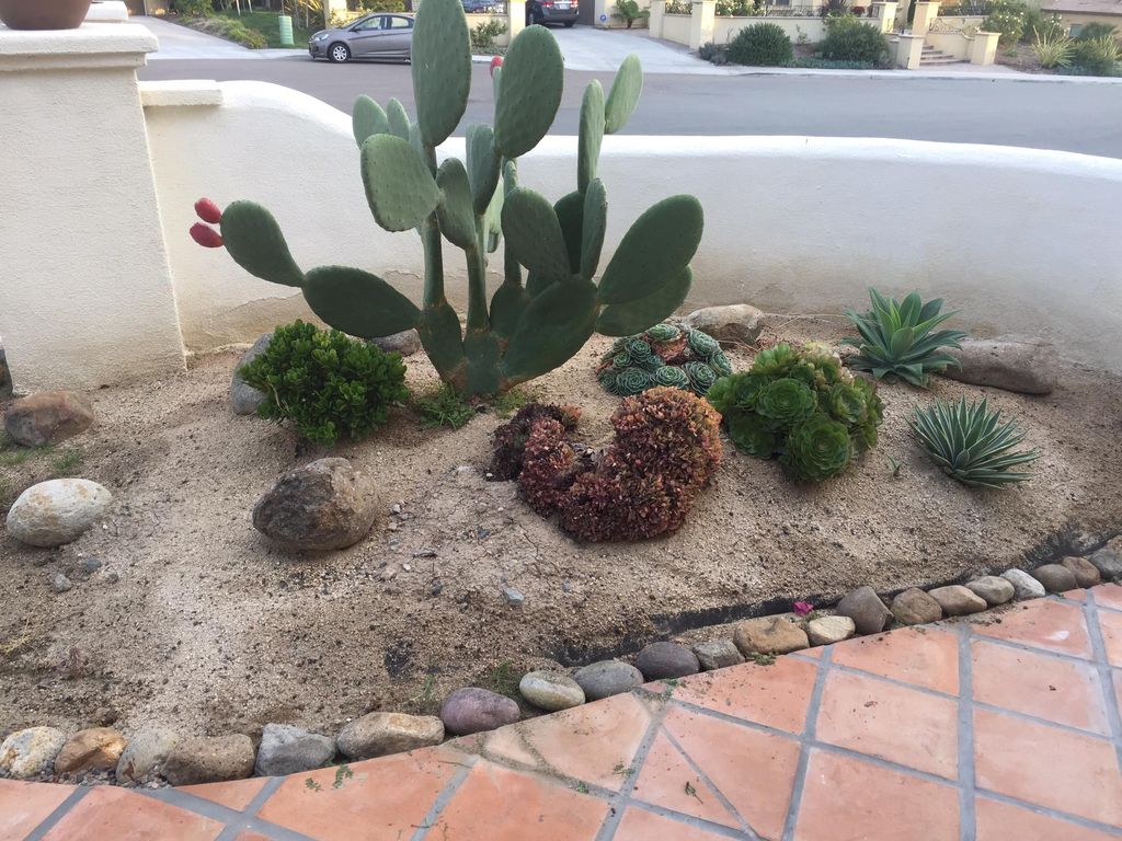 Specialize in water saving landscape design.