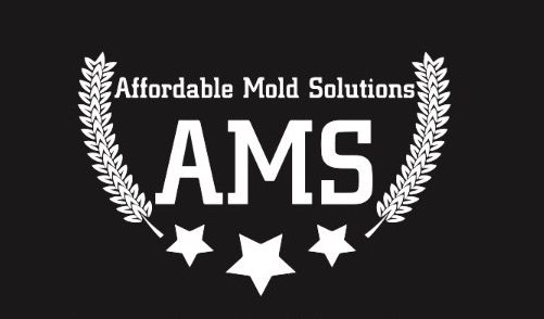 Affordable Mold Solutions