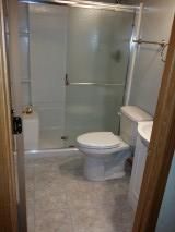 Bathroom remodel with low-threshold shower and bui