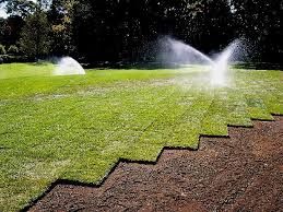 We grow only the best seed varieties of Turfgrass 