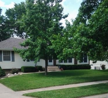 Regular customer in Gladstone.