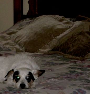 Maggie