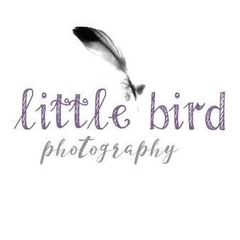 Little Bird Photography