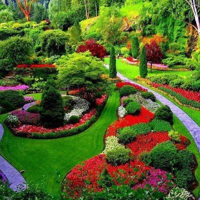 Full Landscapes ...Plants ,Trees , Flowers , Mulch