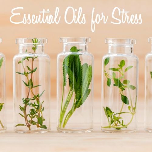 Essential Oils for Stress Management