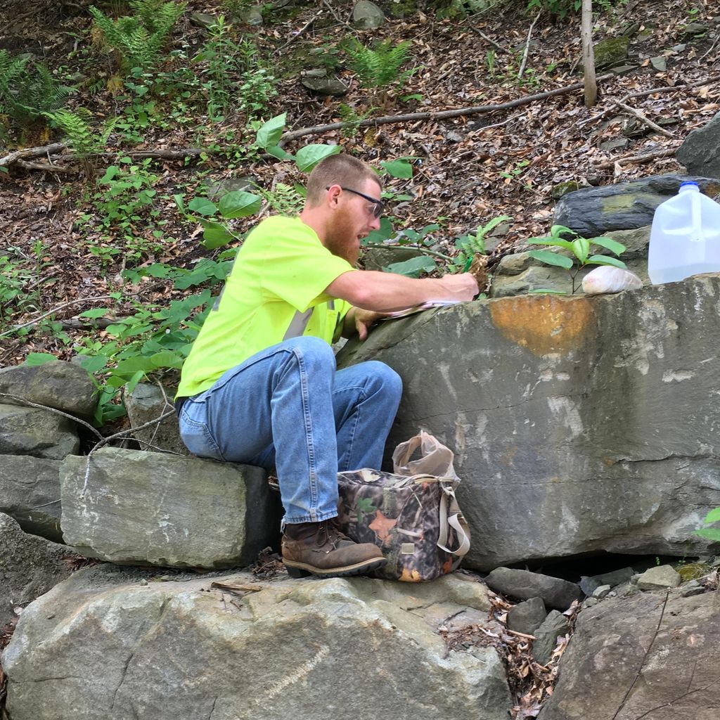 Tiger's Pride Tree Service and Landscaping