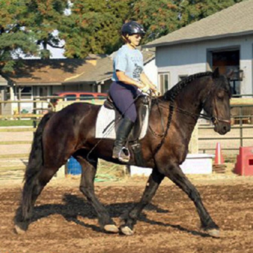 Riding Lessons with Terrie Douglas