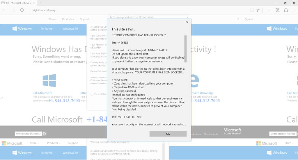 Microsoft Refund Department - Microsoft Error Scam