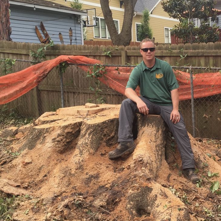 A&L Stump Grinding