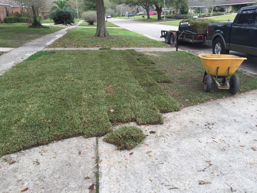 Laying down some St.Augustine sod.