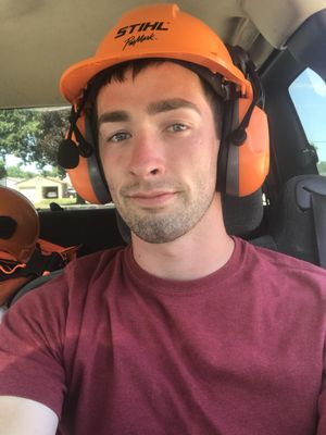 Avatar for Spartan Tree and Lawn