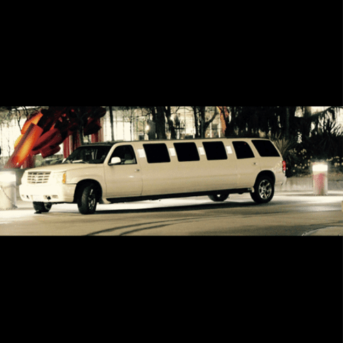 18 passenger wedding limousine