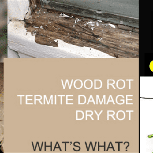 SoCal Termite Exterminators:  (888) 945 2847 Call 