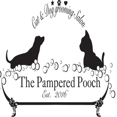 the pampered pooch