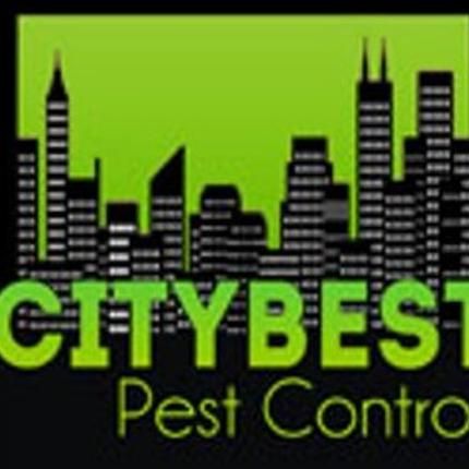 City Best Pest Control