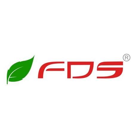 FDS Consulting Inc.