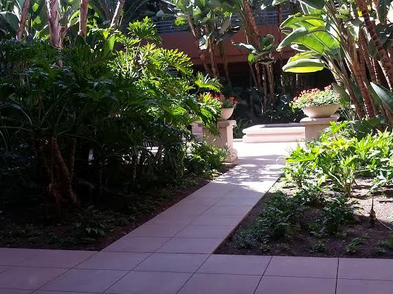 I conduct in person, phone and Skype sessions. In 