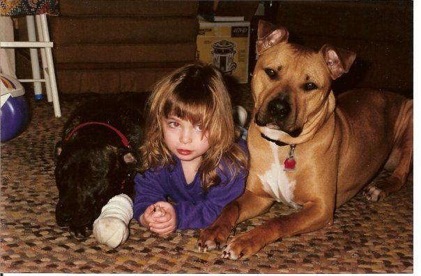 Please don't judge the breed! This little girl lov