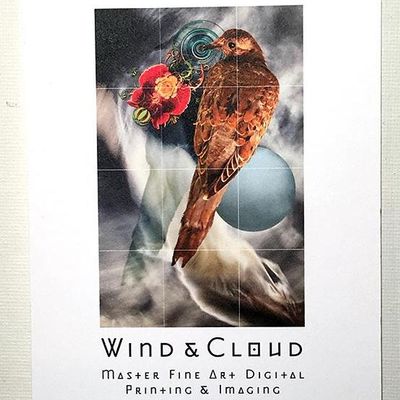 Avatar for Wind + Cloud