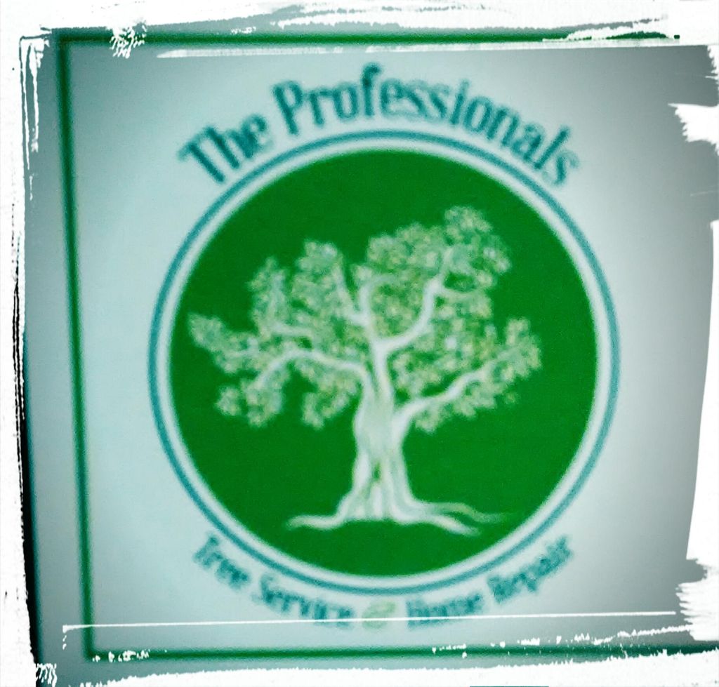 The professionals tree service & home repair, o...