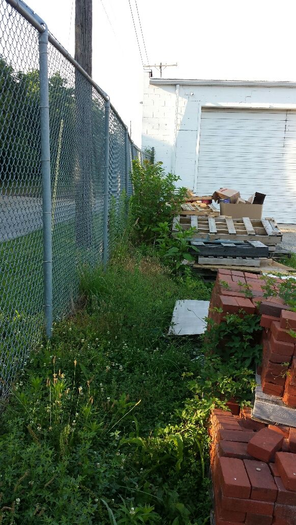 Call us for Weed Control for your commercial prope