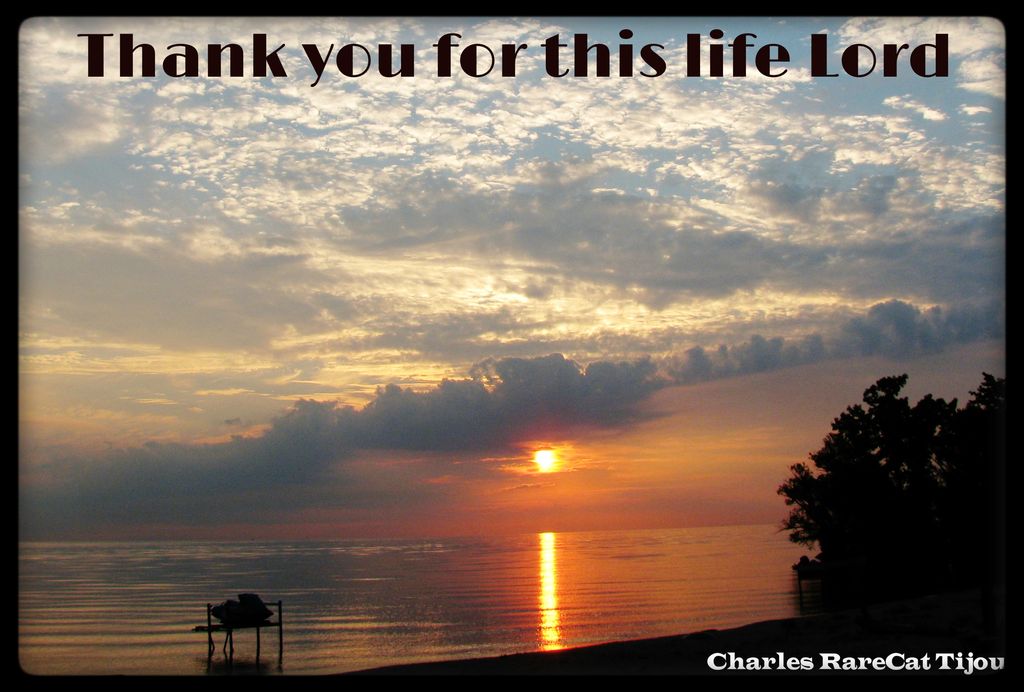 "May all things move and be moved in me
and know a