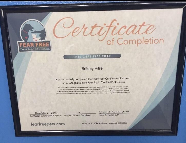 We are Fear-Free certified!