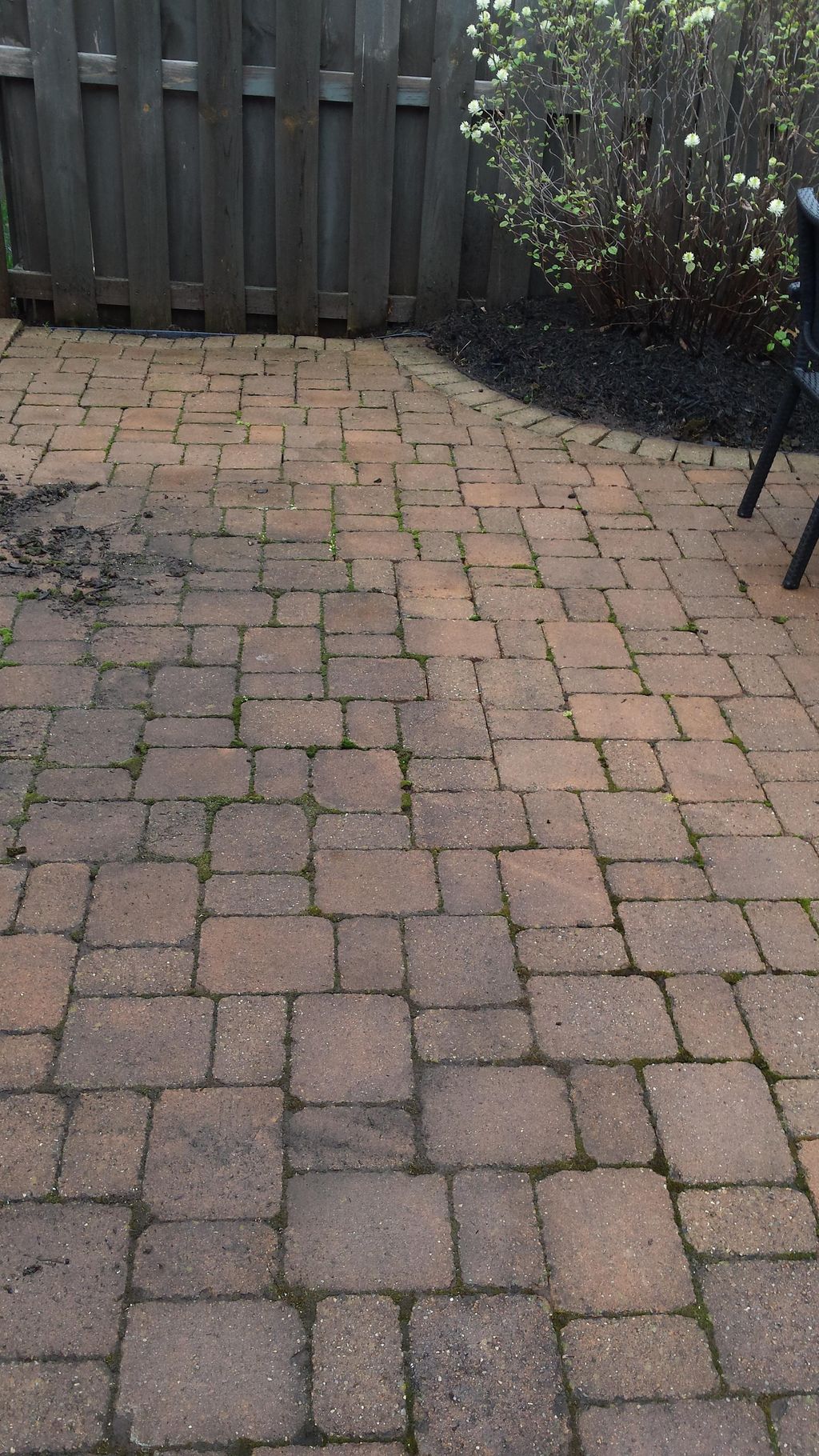 Cleaning of patio/pavers.