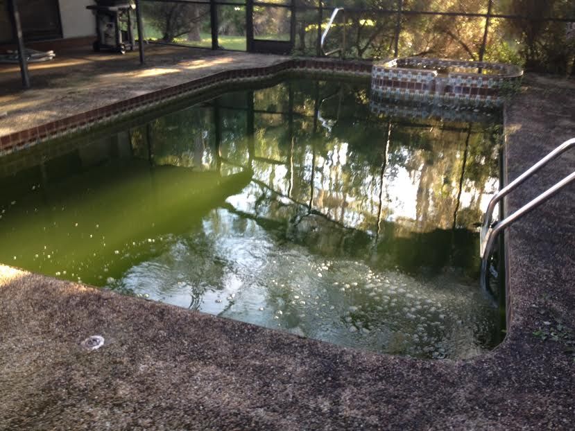 service pool 1- before photo #1