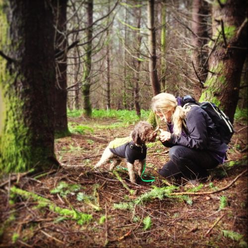 Truffle hunting in the woods with one of my traine
