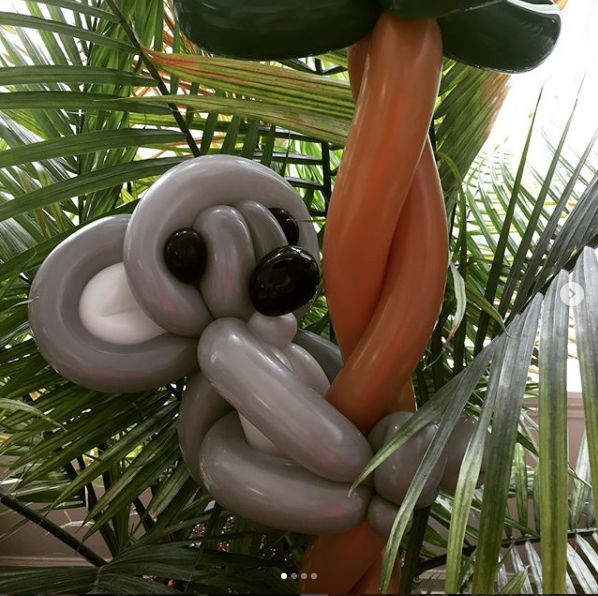 A Level 3 Animal, a koala climbing a tree