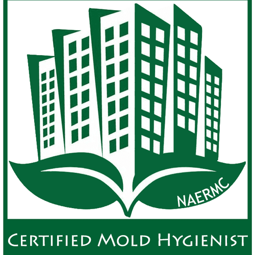 Miami Mold Specialist- Official, Certified Mold Hy