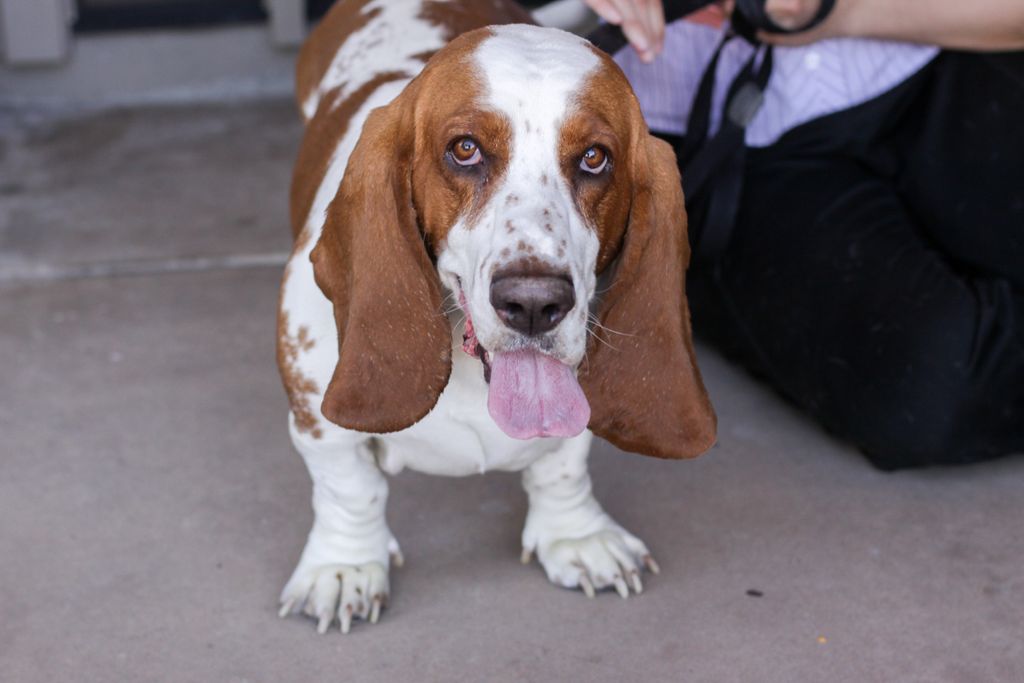 "I love spending time with Donovan."