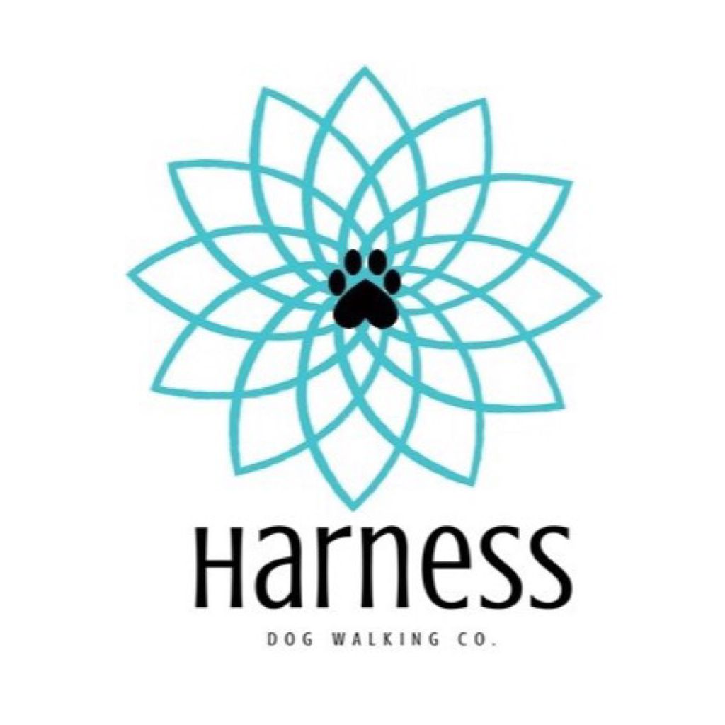 Harness Dog Walking Company