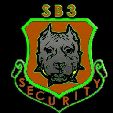 SB3 PROTECTION AGENCY, LLC