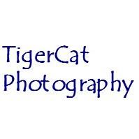 Avatar for TigerCat Photography