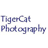 TigerCat Photography