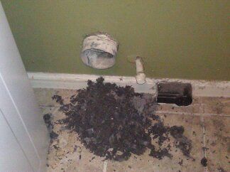 Dryer Vent Cleaning