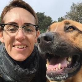 My Dog Spot, Dog Training, Dog Walking & Pet Si...