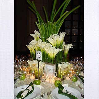 Private Galla Event