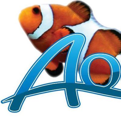 Avatar for Fintastic Aquariums of Frederick