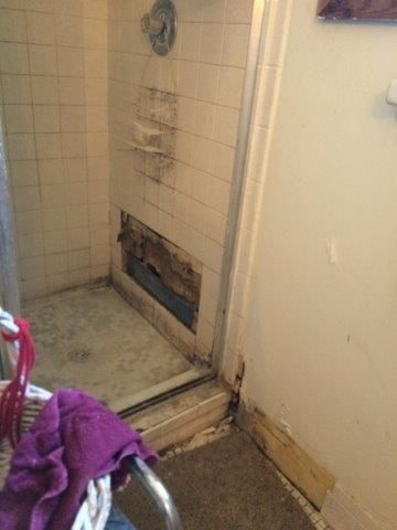 Mold Remediation - Before