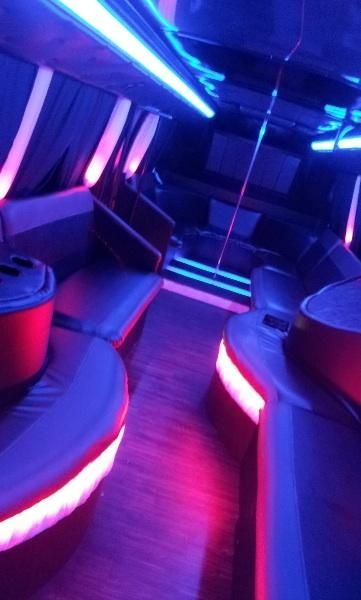 Limo elite 24 pass