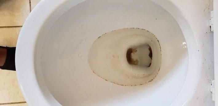 Toilet Before