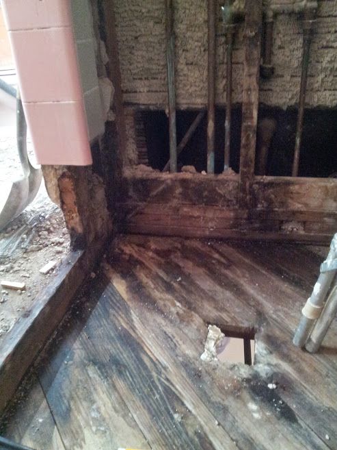 Here is an example of how mold and rot happen if s