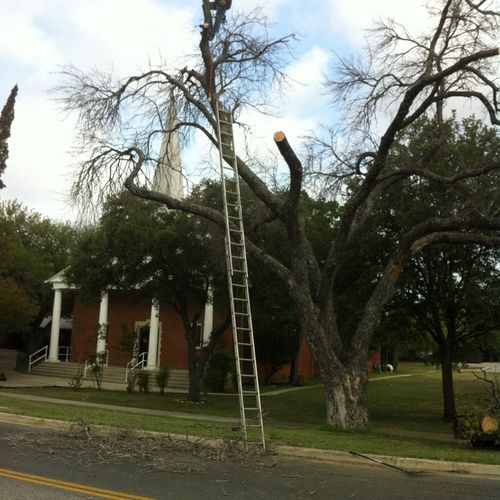 Tree Removal at Brook City Base.