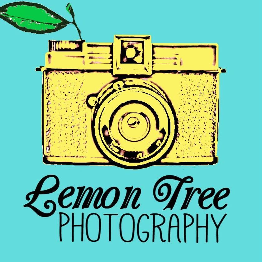 Lemon Tree Photography