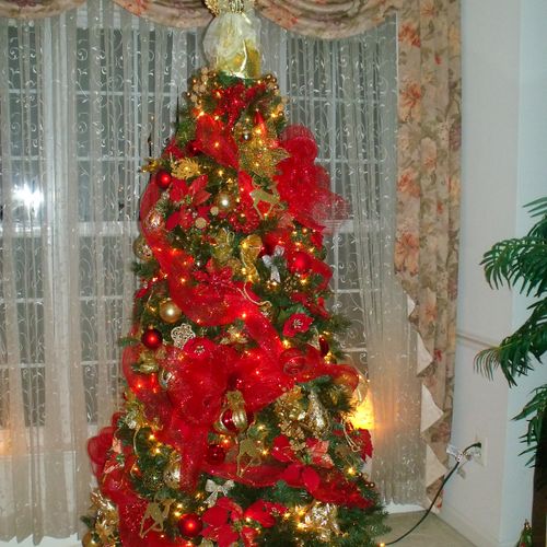 Neighbor's 2014 Christmas Tree