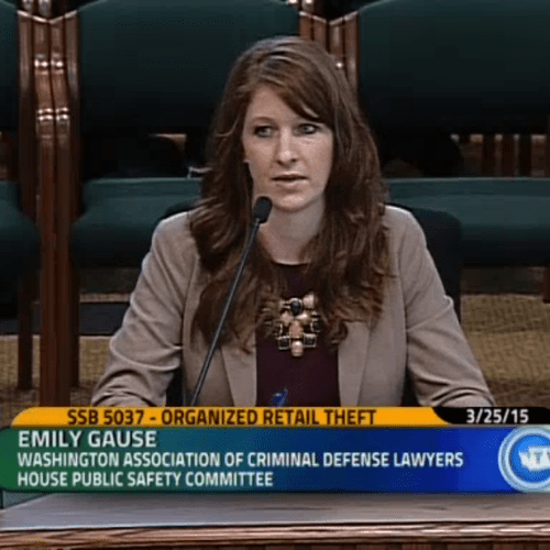 Testifying before the House of Representatives on 
